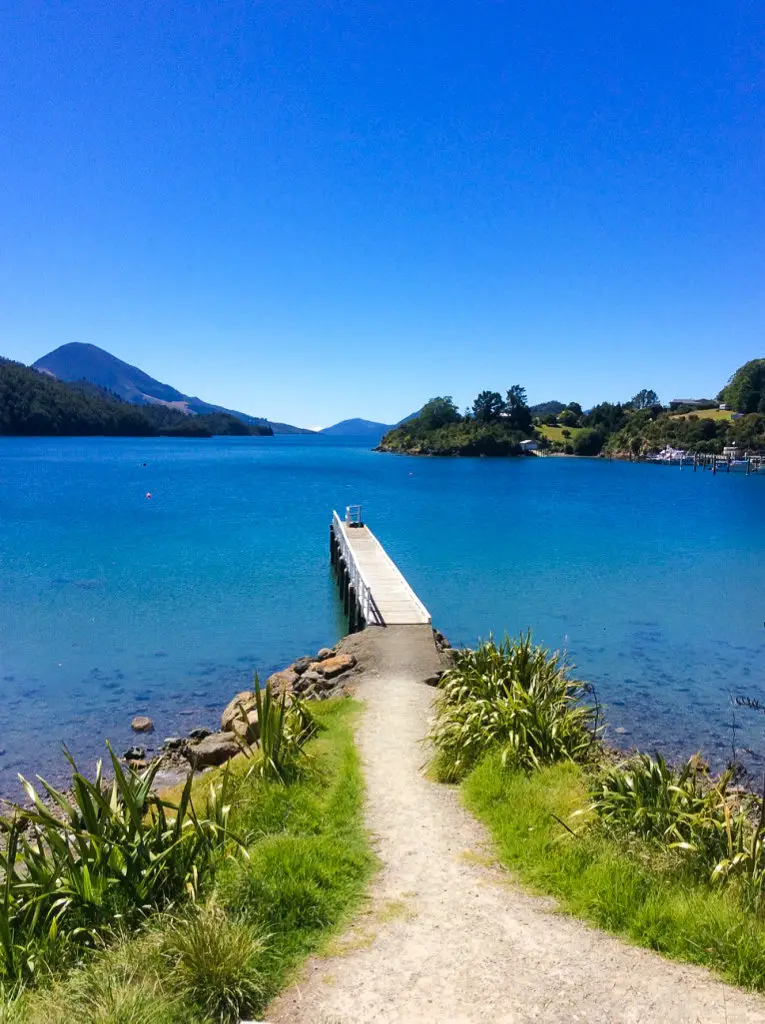 Elaine Bay camp spot new zealand with jetty