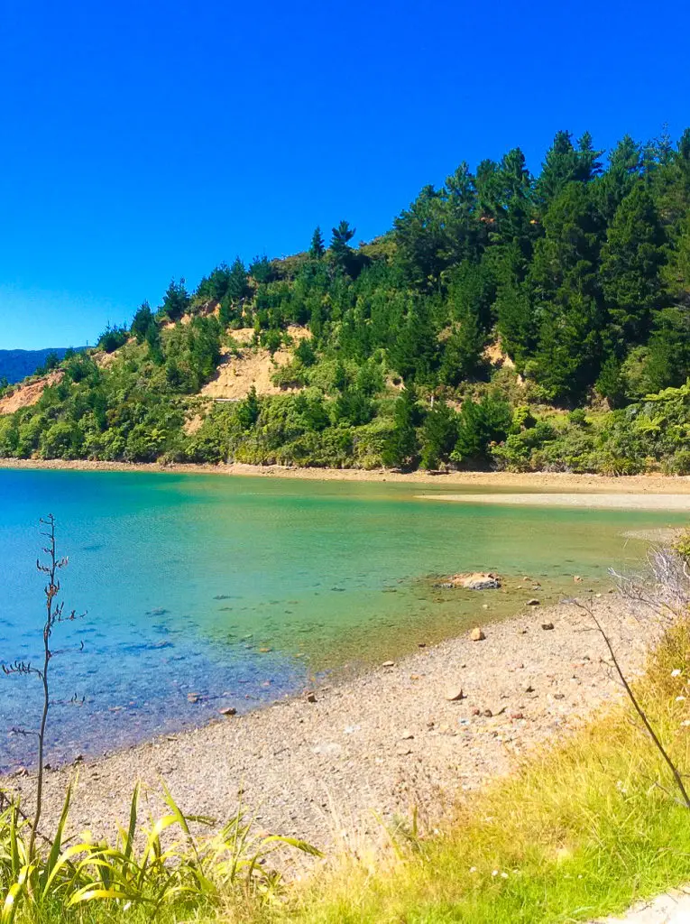 quiet beach around marlborough sounds