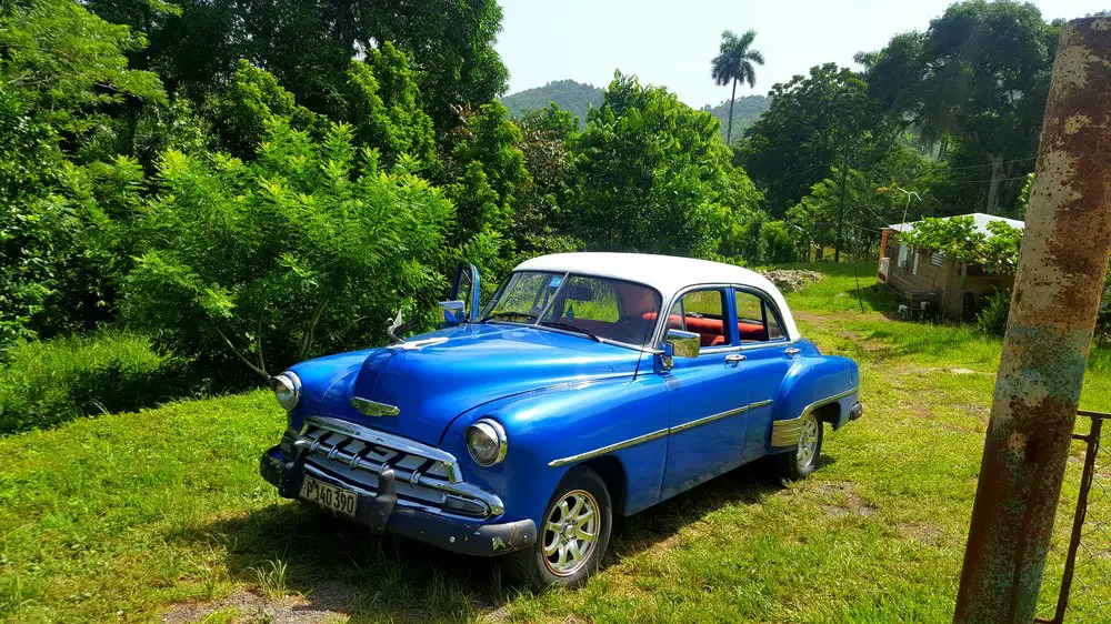 blue vintage car parked in the jungle in cuba