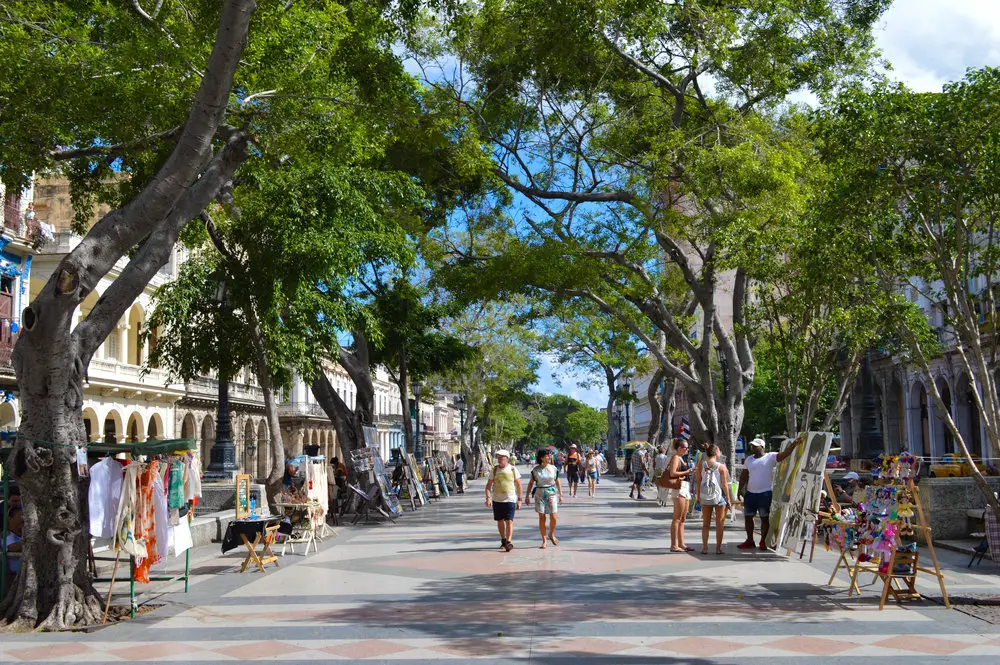 pedestrian strip with trees and souvenirs for sale