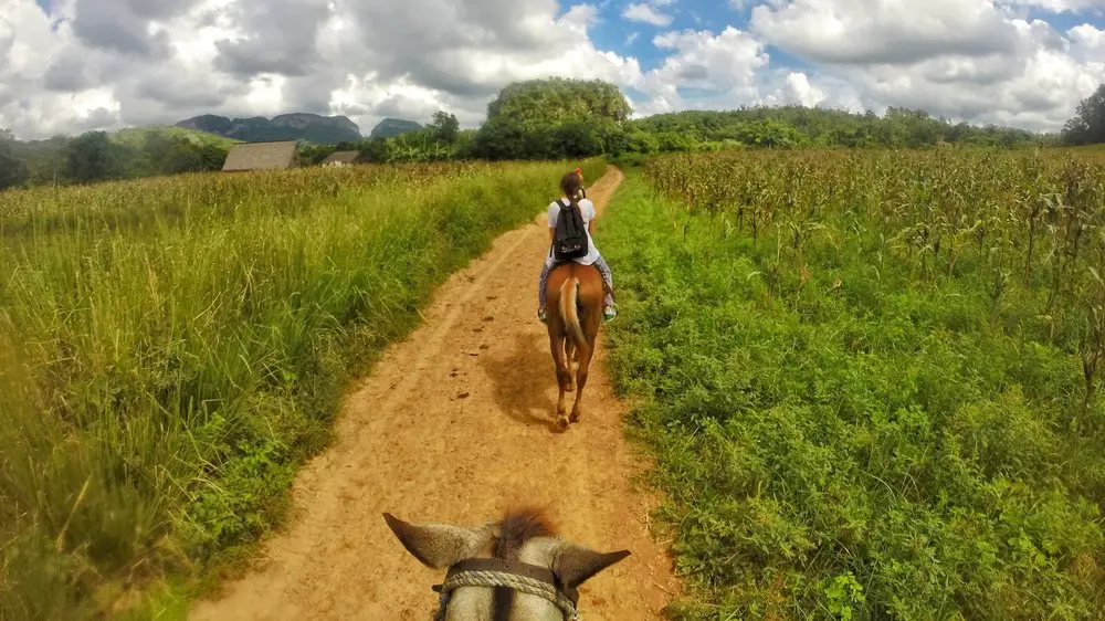 horse riding through fields on an orange dirt track