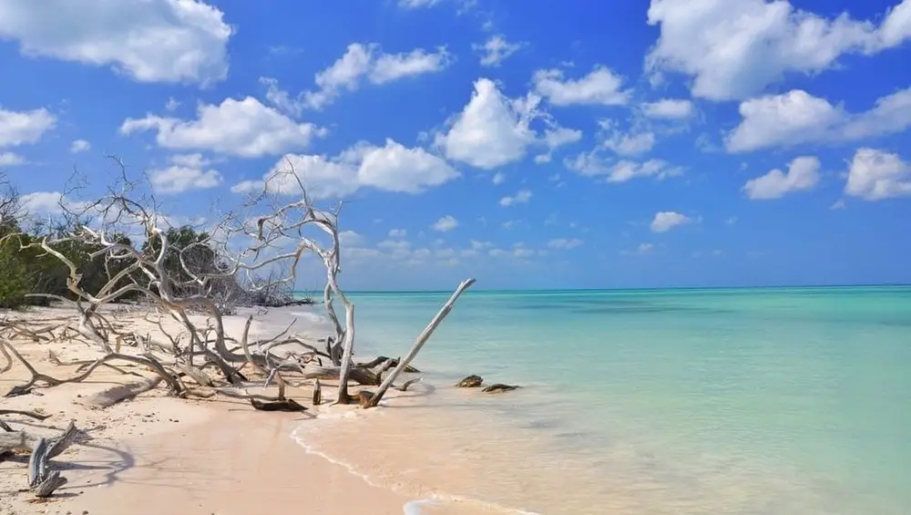 white beach with mangroves near town of Vinales