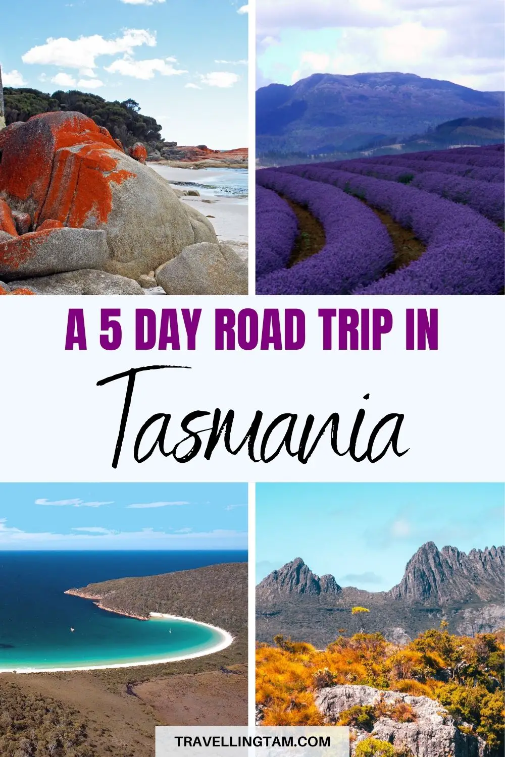 tasmania road trip itinerary in 5 days
